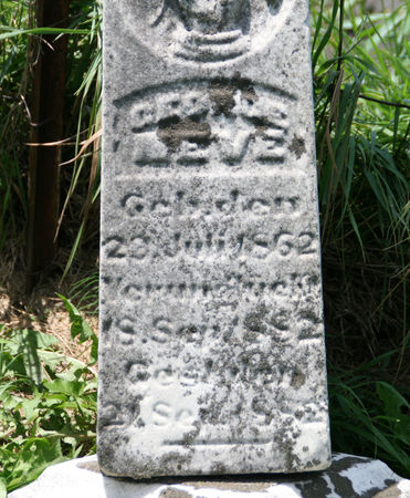 NEVE, GEORGE - Scott County, Iowa | GEORGE NEVE 