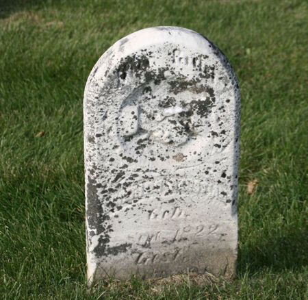 PAUSTIAN, HEINRICH - Scott County, Iowa | HEINRICH PAUSTIAN 