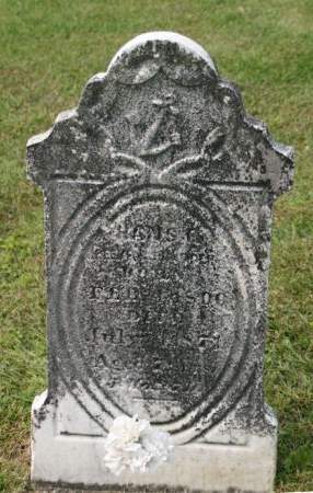 PEEKENSCHNEIDER, HANS - Scott County, Iowa | HANS PEEKENSCHNEIDER 