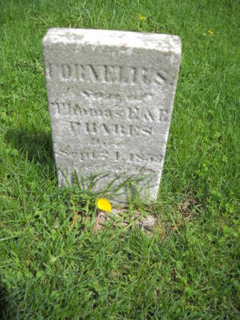 PHARES, CORNELIUS - Scott County, Iowa | CORNELIUS PHARES 