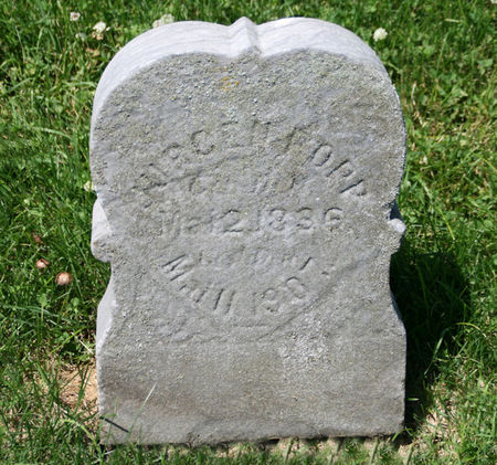 POPP, JURGEN - Scott County, Iowa | JURGEN POPP 