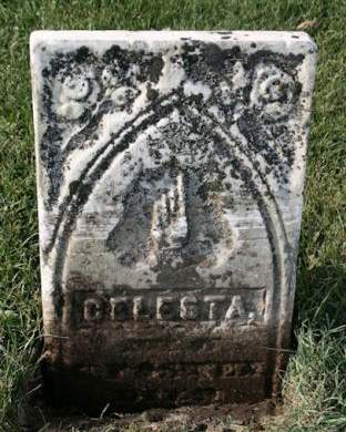 POSTEN, CELESTA - Scott County, Iowa | CELESTA POSTEN 