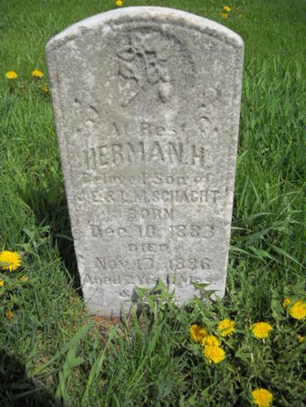 SCHACHT, HERMAN  H - Scott County, Iowa | HERMAN  H SCHACHT 