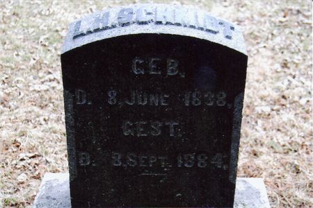 SCHMIDT, LUDWIG HENRICH - Scott County, Iowa | LUDWIG HENRICH SCHMIDT 