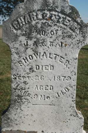 SHOWALTER, CHARLOTTE N. - Scott County, Iowa | CHARLOTTE N. SHOWALTER 