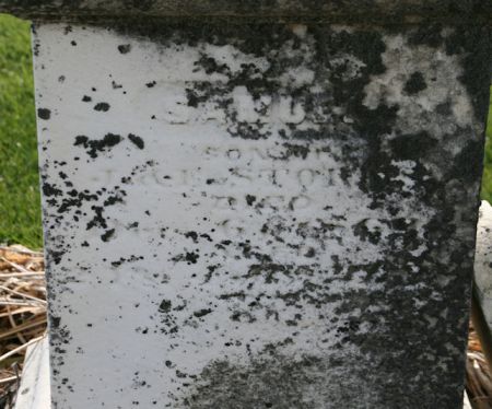 STORMS, SAMUEL - Scott County, Iowa | SAMUEL STORMS 