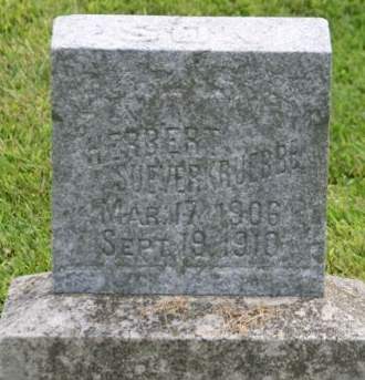 SUEVERKRUEBBE, HERBERT - Scott County, Iowa | HERBERT SUEVERKRUEBBE 