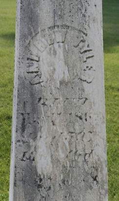 TYLER, ANDREW - Scott County, Iowa | ANDREW TYLER 