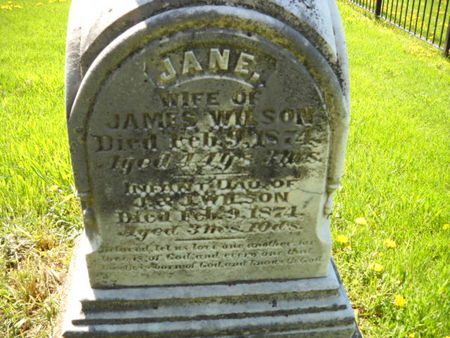 WILSON, INFANT DAU - Scott County, Iowa | INFANT DAU WILSON 