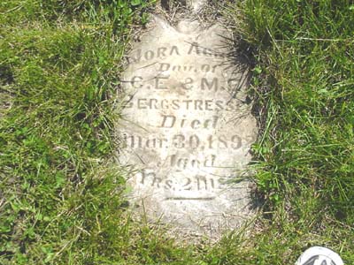 BERGSTRESSER, NORA AGNES - Shelby County, Iowa | NORA AGNES BERGSTRESSER 