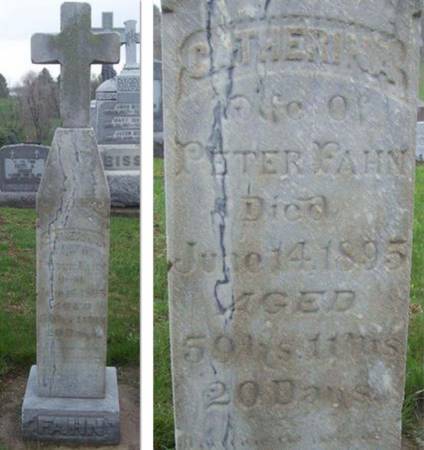 BRAUN FAHN, CATHERINA - Shelby County, Iowa | CATHERINA BRAUN FAHN 