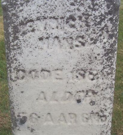 HANSEN, HENRICH (CLOSE-UP) - Shelby County, Iowa | HENRICH (CLOSE-UP) HANSEN 