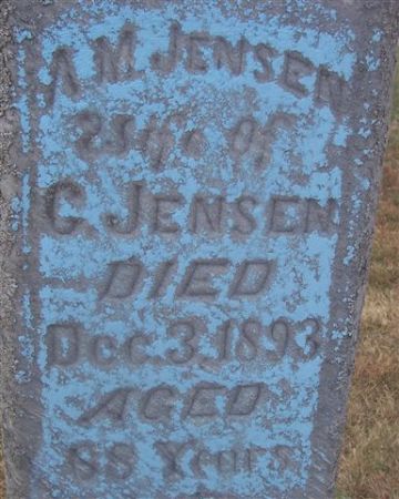 JENSEN, A. M. (CHALKED) - Shelby County, Iowa | A. M. (CHALKED) JENSEN 