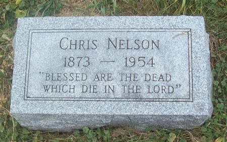 NELSON, CHRIS - Shelby County, Iowa | CHRIS NELSON 