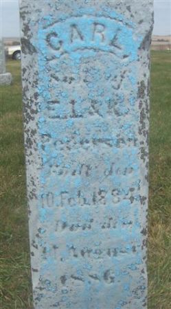 PEDERSEN, CARL (CLOSE-UP) - Shelby County, Iowa | CARL (CLOSE-UP) PEDERSEN 