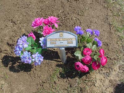 SCHNACK, CRAIG W. - Shelby County, Iowa | CRAIG W. SCHNACK 