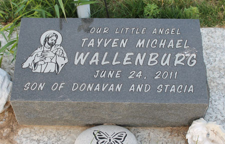 WALLENBURG, TAYVEN MICHAEL - Sioux County, Iowa | TAYVEN MICHAEL WALLENBURG 