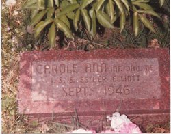 ELLIOTT, CAROL ANN - Story County, Iowa | CAROL ANN ELLIOTT 