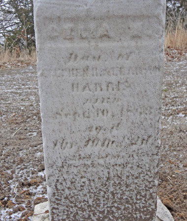 HARRIS, CELIA - Story County, Iowa | CELIA HARRIS 