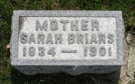 LOUGHRAN, SARAH - Story County, Iowa | SARAH LOUGHRAN 