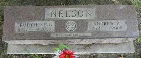 NELSON, ANDREW PHILIP - Story County, Iowa | ANDREW PHILIP NELSON 