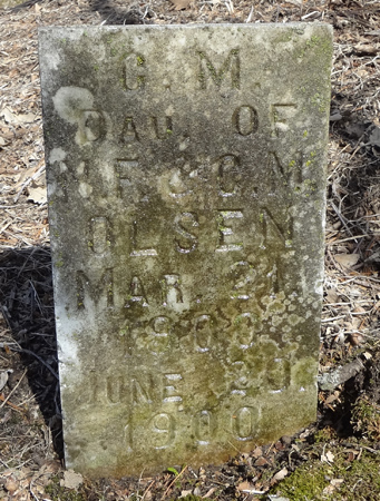 OLSEN, C.M. - Story County, Iowa | C.M. OLSEN 