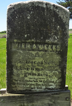 WEEKS, VIAR WIER ANFINSON HOLMEDAL - Story County, Iowa | VIAR WIER ANFINSON HOLMEDAL WEEKS 
