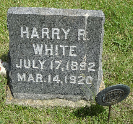 WHITE, HARRISON 