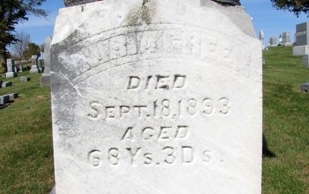 GREEN, MARIA - Tama County, Iowa | MARIA GREEN 