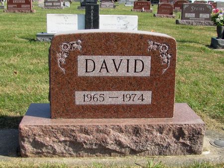 HALUPNIK, DAVID - Tama County, Iowa | DAVID HALUPNIK 