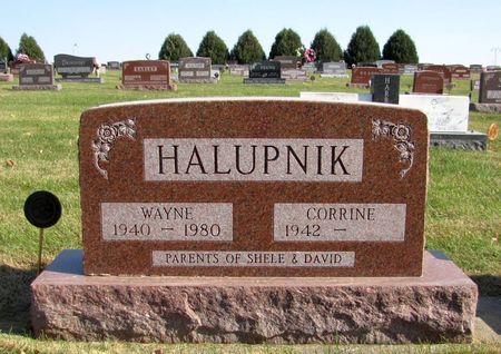 HALUPNIK, WAYNE - Tama County, Iowa | WAYNE HALUPNIK 
