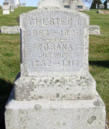 HARTMAN, CHESTER T. - Tama County, Iowa | CHESTER T. HARTMAN 