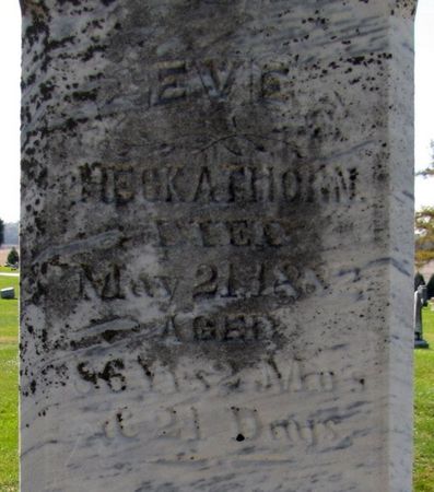 HECKATHORN, EVE - Tama County, Iowa | EVE HECKATHORN 