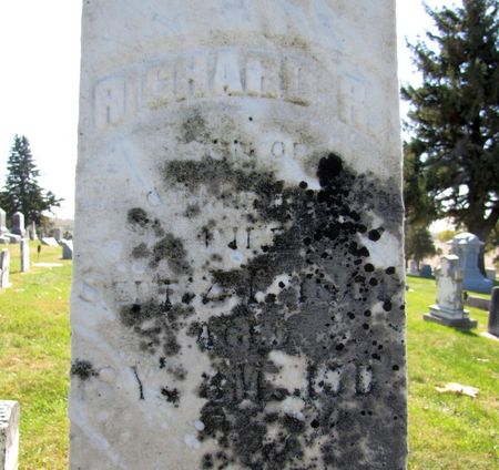 HENDERSON, RICHARD R. - Tama County, Iowa | RICHARD R. HENDERSON 