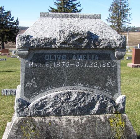 HILD, OLIVE AMELIA - Tama County, Iowa | OLIVE AMELIA HILD 