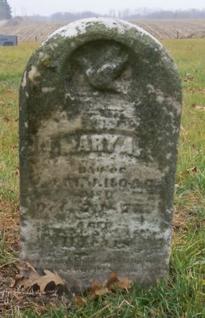 HOAG, MARY A - Tama County, Iowa | MARY A HOAG 