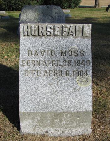 HORSEFALL, DAVID MOSS - Tama County, Iowa | DAVID MOSS HORSEFALL 