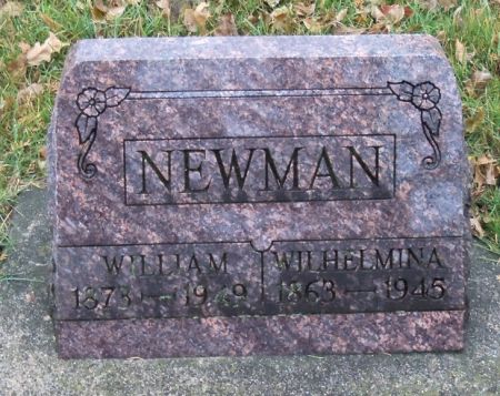 NEWMAN, WILLIAM - Tama County, Iowa | WILLIAM NEWMAN 