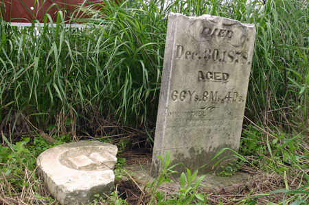 CAPWELL WILES, ELIZA - Tama County, Iowa | ELIZA CAPWELL WILES 