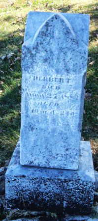 ADAMS, HERBERT - Taylor County, Iowa | HERBERT ADAMS 