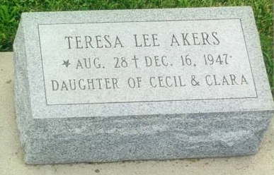 AKERS, TERESA LEE - Taylor County, Iowa | TERESA LEE AKERS 