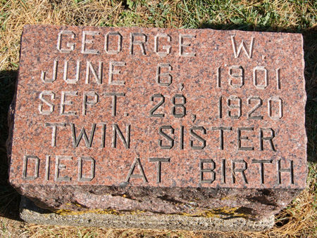 ALLEN, GEORGE WILLIAM - Taylor County, Iowa | GEORGE WILLIAM ALLEN 