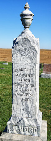 ALVORD, ELBRIDGE DEMING - Taylor County, Iowa | ELBRIDGE DEMING ALVORD 