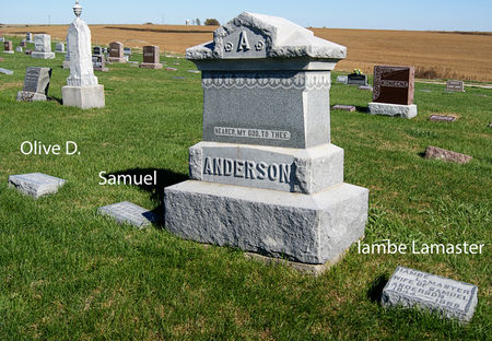 ANDERSON, SAMUEL, FAMILY PLOT OF - Taylor County, Iowa | SAMUEL, FAMILY PLOT OF ANDERSON 