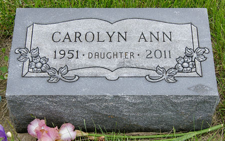 BABCOCK, CAROLYN ANN - Taylor County, Iowa | CAROLYN ANN BABCOCK 