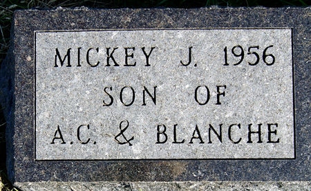 BARNES, MICKEY JOE - Taylor County, Iowa | MICKEY JOE BARNES 