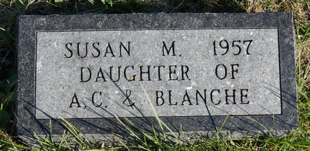 BARNES, SUSAN M - Taylor County, Iowa | SUSAN M BARNES 