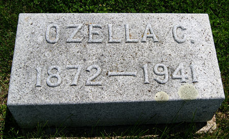 STARK BARTLES, OZELLA CELESTINE - Taylor County, Iowa | OZELLA CELESTINE STARK BARTLES 