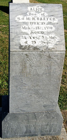 BAXTER, ALICE - Taylor County, Iowa | ALICE BAXTER 