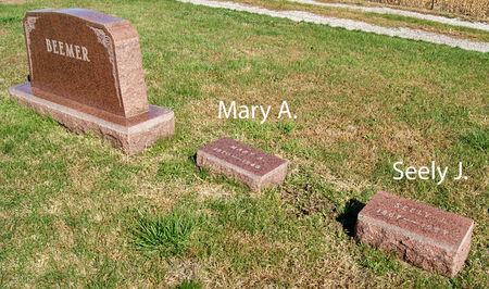 BEEMER, SEELY JUDSON, FAMILY PLOT - Taylor County, Iowa | SEELY JUDSON, FAMILY PLOT BEEMER 
